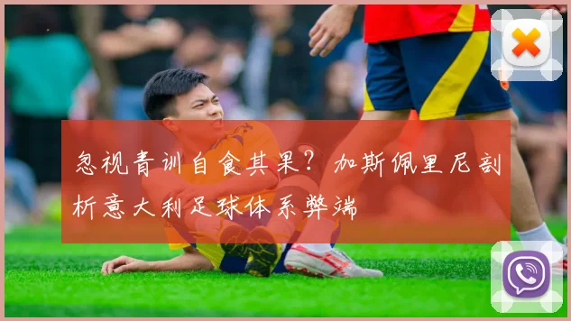 忽视青训自食其果?加斯佩里尼剖析意大利足球体系弊端